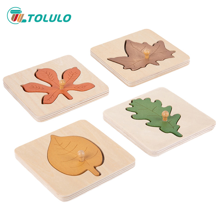 Wooden Puzzle Toy